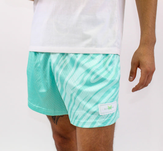 Mint Mesh Motion